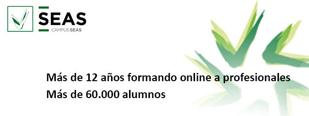 cursoso online seas