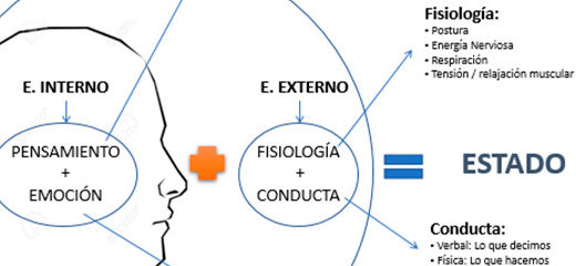 cabecera-elvak-blogseas