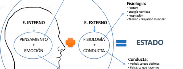 cabecera-elvak-blogseas