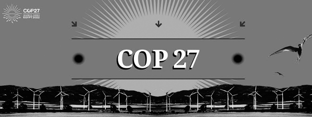 cabecera-cop27-blog-seas