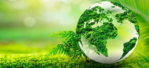 dia-mundial-medioambiente-2025-cabecera-post