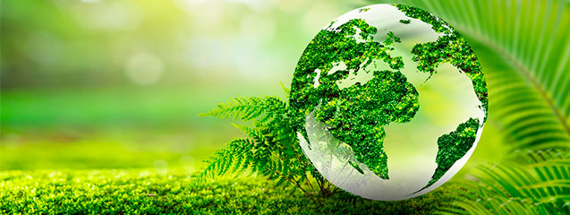 dia-mundial-medioambiente-2025-cabecera-post