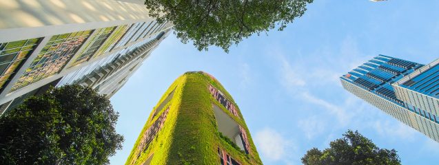 Arquitectura sostenible