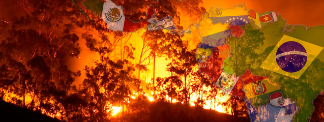 cabecera-post-incendios-eerr