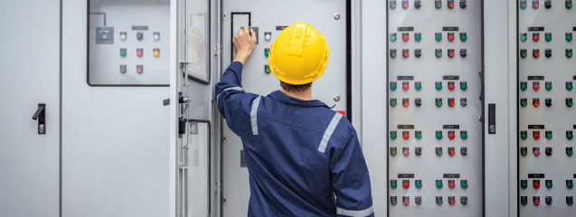 Cogeneración eléctrica