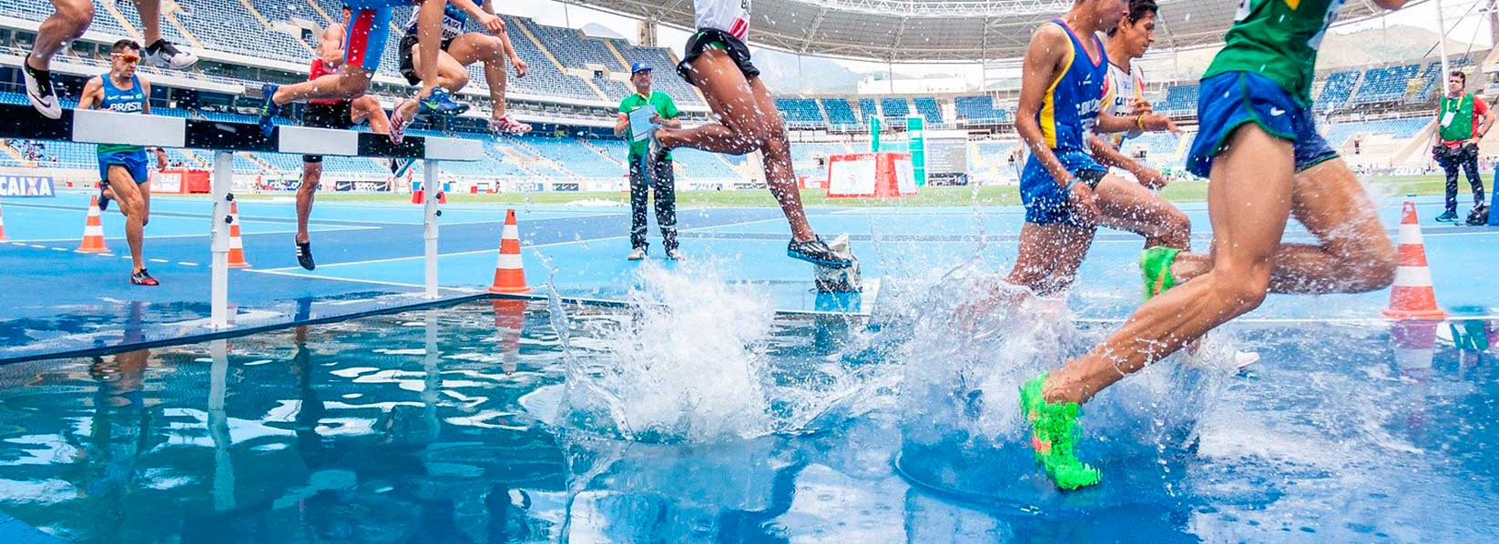 imagen de Experto Universitario en Diseño y Mantenimiento de Instalaciones Deportivas