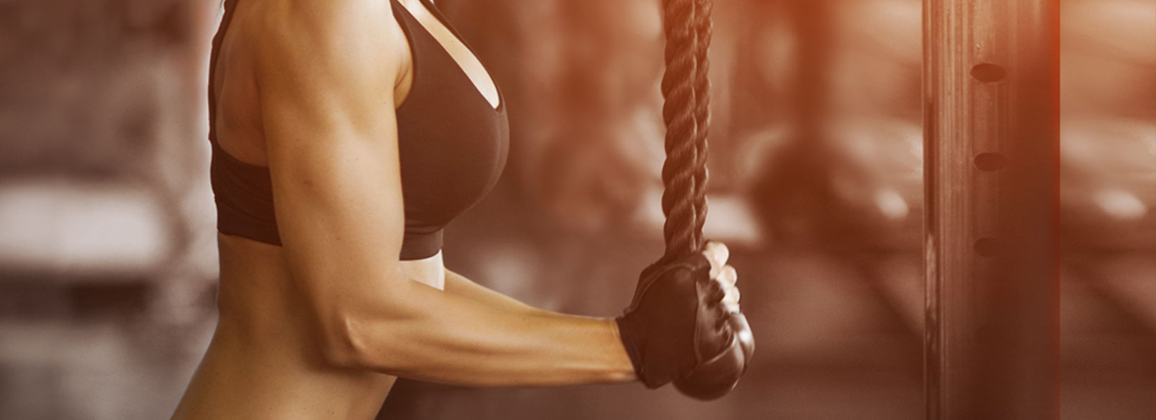 imagen de Experto Universitario en Cross Training y Entrenamiento Personal