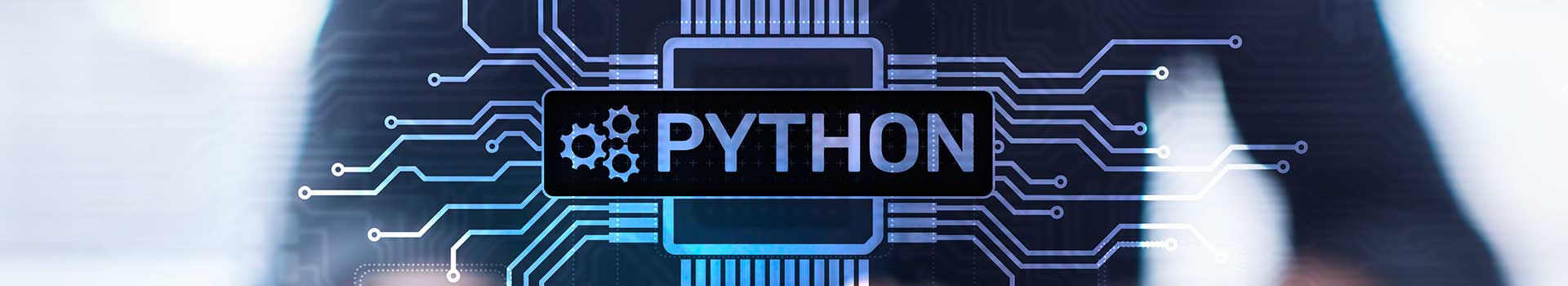 imagen de Curso de Programación en Lenguaje Python
