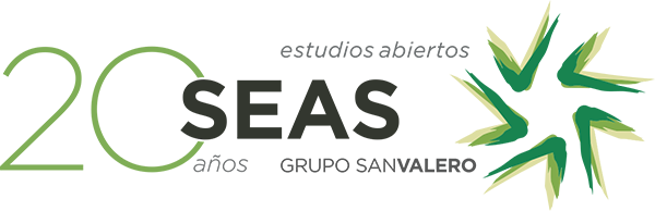 Logo SEAS 20 Aniversario