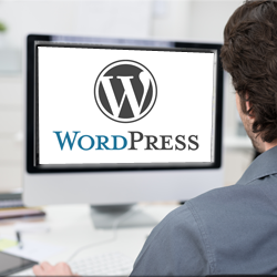 diseño de páginas web con curso de wordpress online