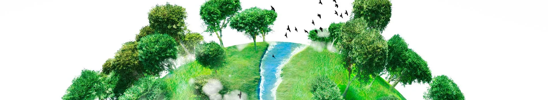 curso-gestion-medioambiental-iso14001 curso-gestion-medioambiental-iso14001