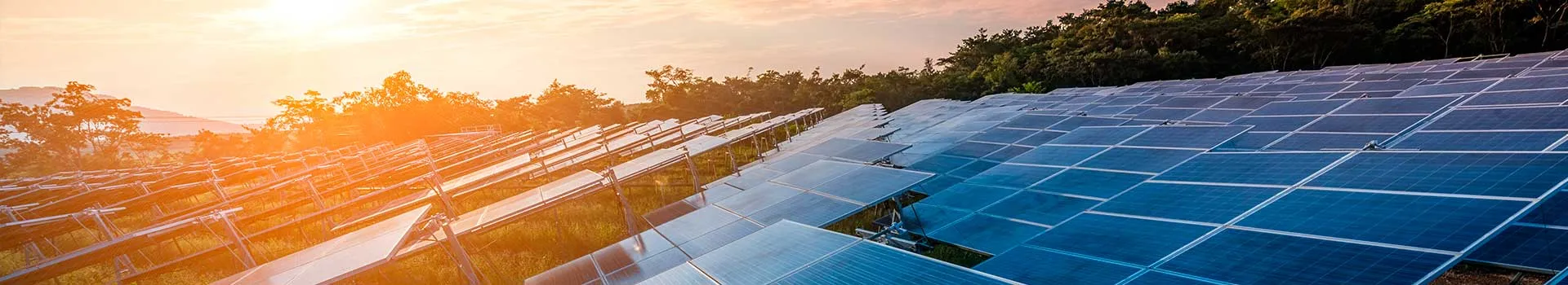 diploma-energia-solar diploma-energia-solar