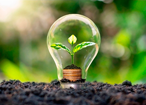 imagen-noticia-dia-mundial-ahorro-energia-seas