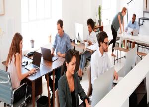 practicas-campusseas1.jpg