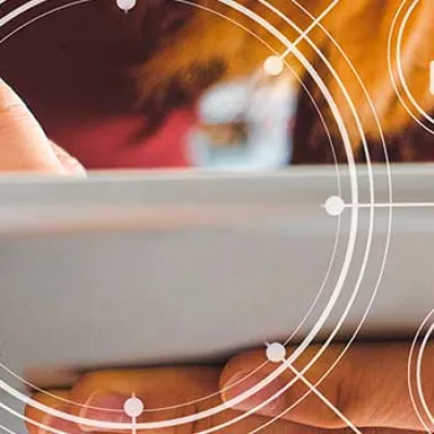 area-marketing-digital