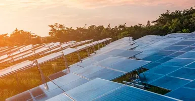 diploma-energia-solar